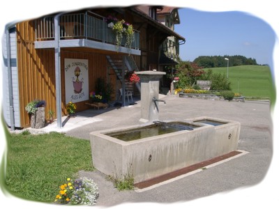 Dorfbrunnen von Müselbach /Schweiz - Foto: Alex Brändle - Müselbach online